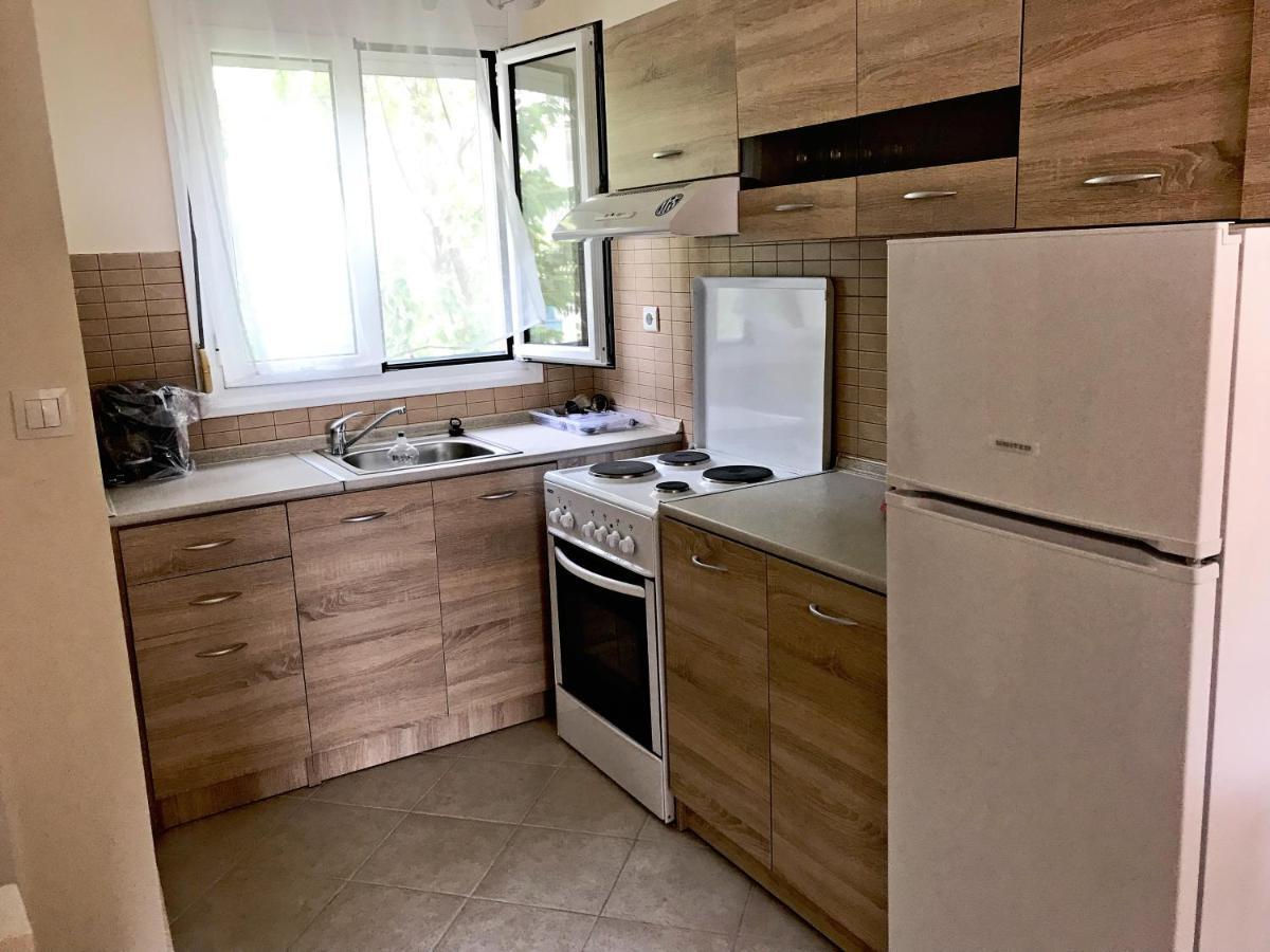 Dimitra'S And Nasia'S Villa 普萨克迪亚 外观 照片