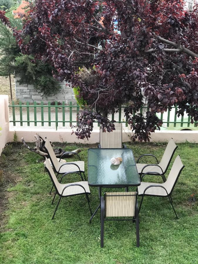 Dimitra'S And Nasia'S Villa 普萨克迪亚 外观 照片