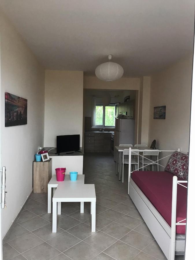 Dimitra'S And Nasia'S Villa 普萨克迪亚 外观 照片